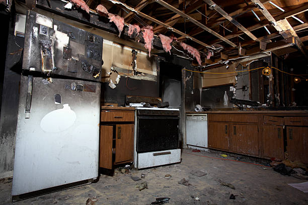 Licensed Fire Damage Restoration service in New Germany, MN - Fire Damage Doption